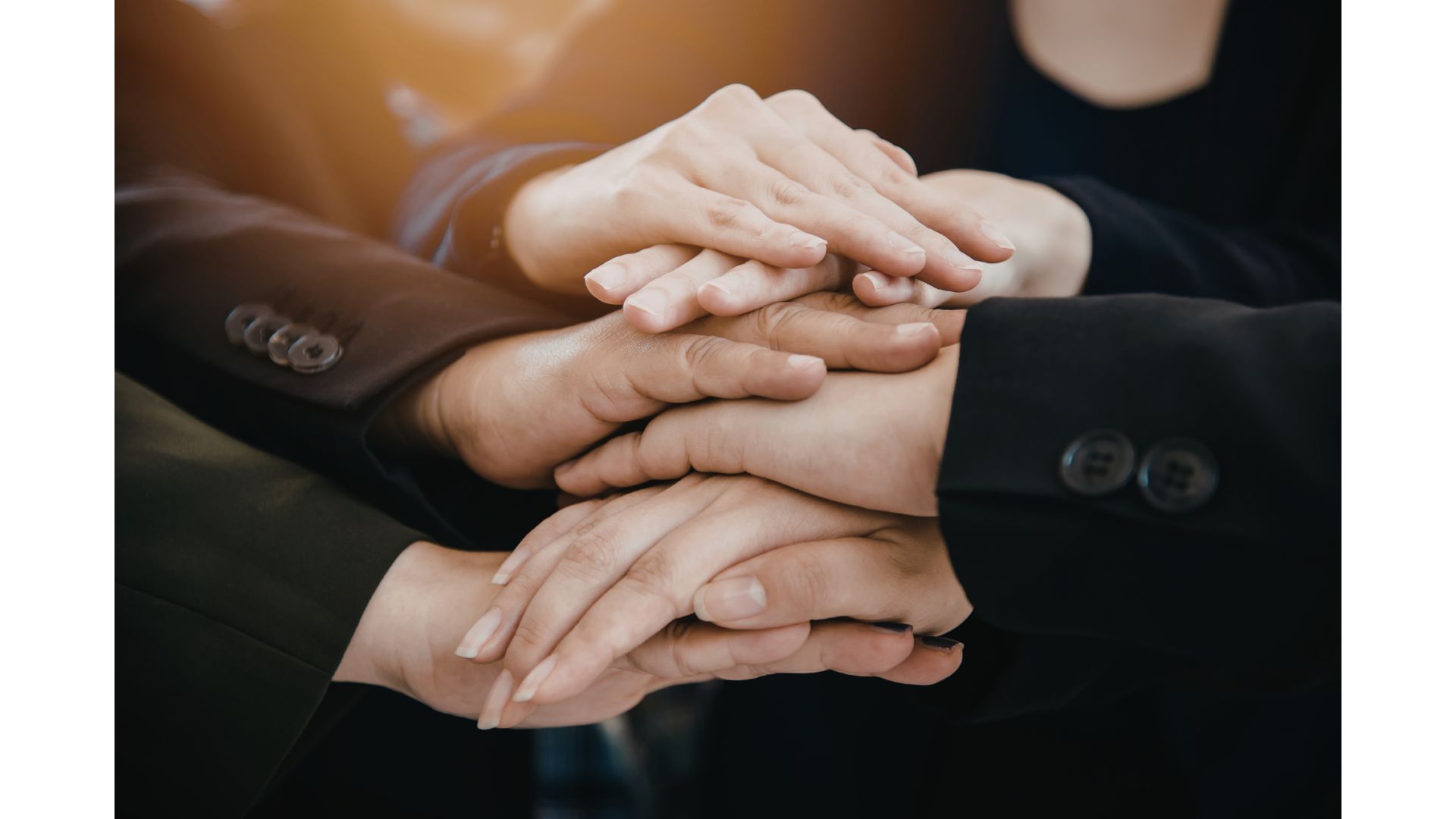 đội ngũ tận tâm, chuyên nghiệp