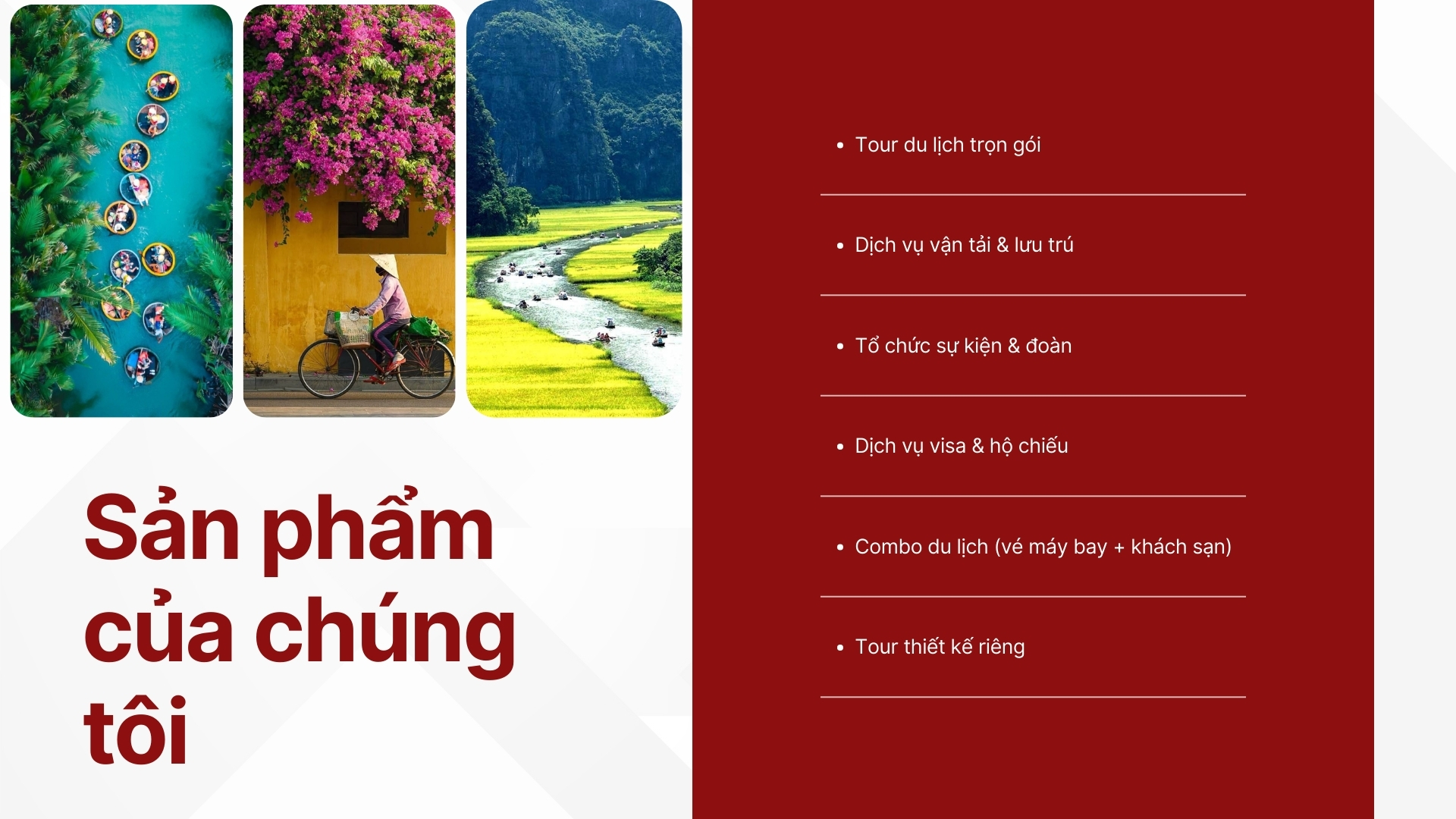 sản phẩm cung cấp
