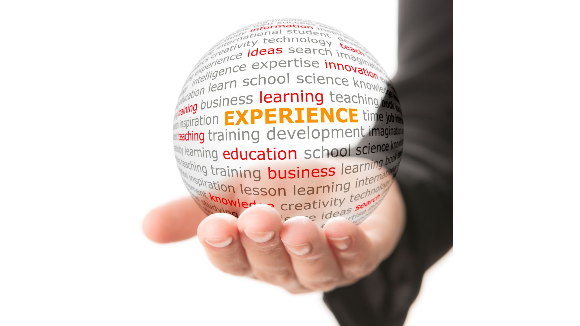 đội ngũ giàu kinh nghiệm