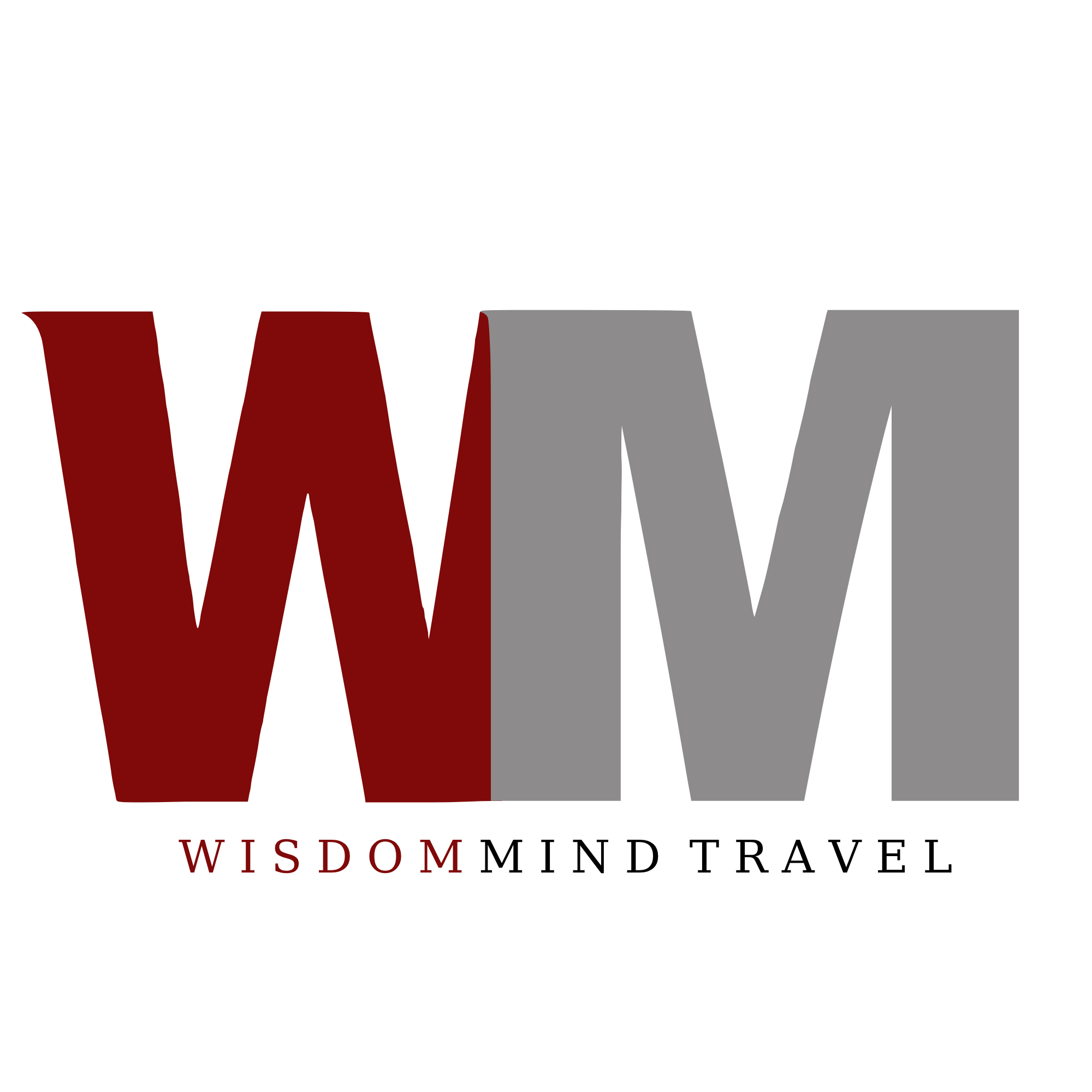 Wisdom Mind Travel